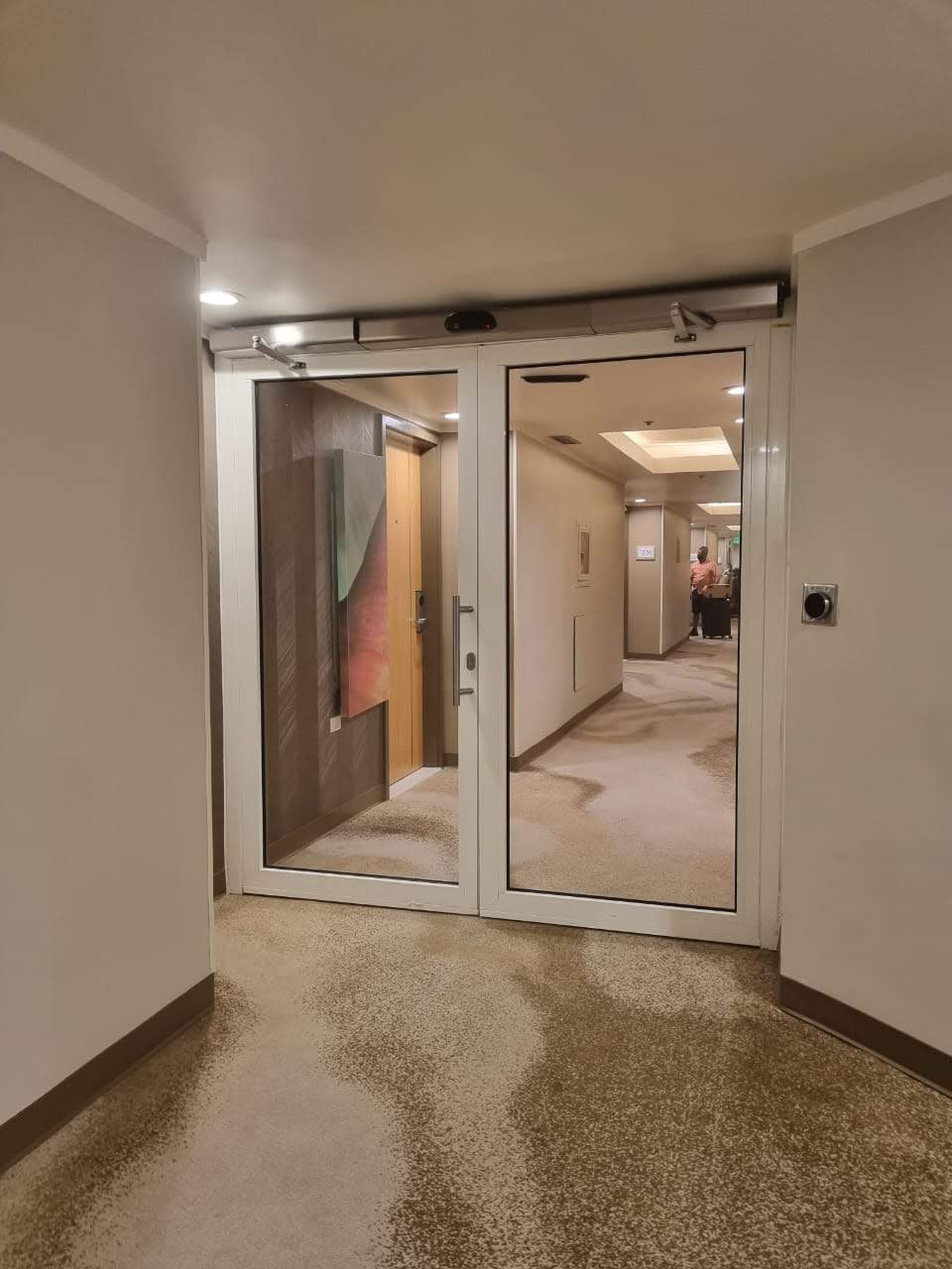 Automatic Swing door - Renaissance hotel 2